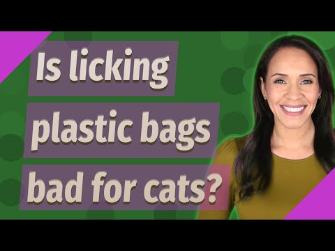 Is licking plastic bags bad for cats?