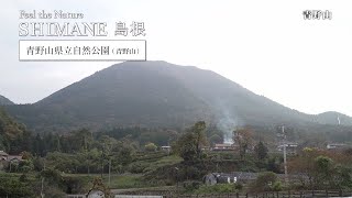 视频缩略图