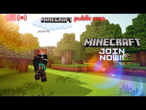 EPIC MINECRAFT SMP LIVE - FACE REVEAL STREAM!! 🔴