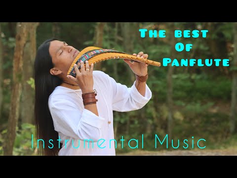 The Best Of Panflute | Fabian Salazar Wuauquikuna #subscribe #like #love #music #instrumental
