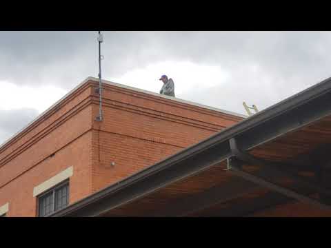 Gone Roof!