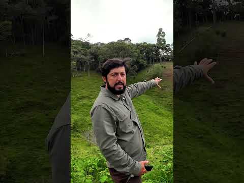 TERRENO COM VISTA NA SERRA DA MANTIQUEIRA MINEIRA