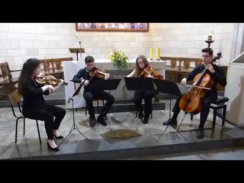Video 6 de Quartet Albada