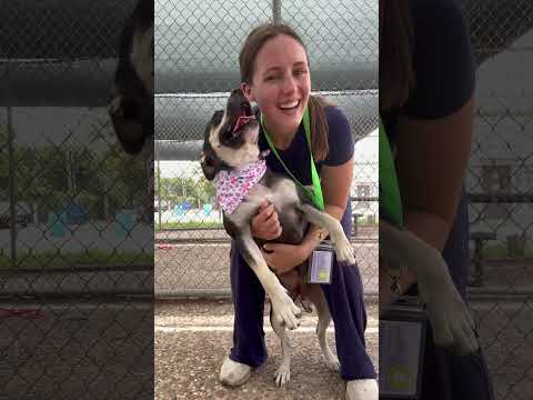 A2014030 Kasumi  outside