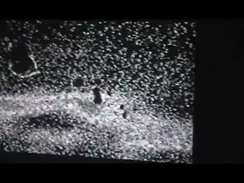 TOOL- Ænema 11.21.2002