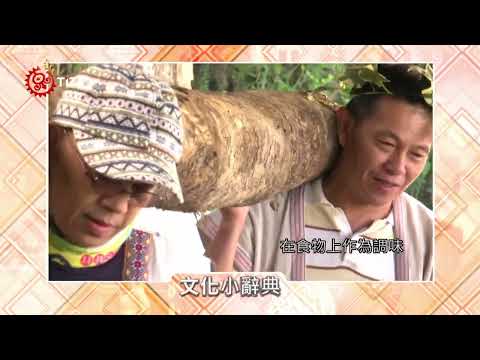 【文化小辭典】邵族語｜ 刺蔥使用廣泛 入菜、消炎及邵族祭儀木杵｜原住民族電視台