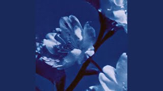 Download lagu I Stopped Waiting mp3