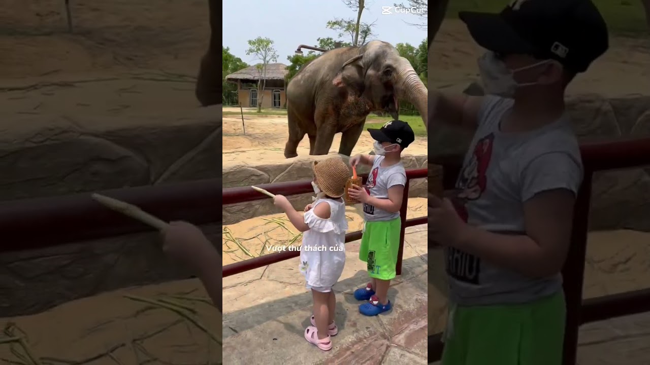 YouTube Short thumbnail