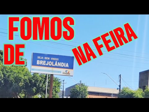 VISITAMOS A FEIRA DE BREJOLANDIA-BA. Filmamos tudo.1🤩