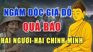 Quả Báo – Ngâm Độc Giá Đỗ Hại Bao Gia Đình | Nhân Quả Báo Ứng