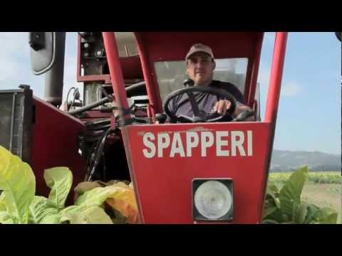 Spapperi S.r.l. - Raccoglitrice Tabacco RA 341 / Tobacco Harvester RA 341