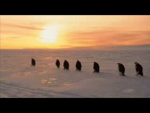 Where Are You (Rudi Berger)