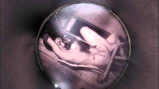 Peaches - Shake Yer Dix (Tiga&#39;s Where Were You In &#39;92 Rmx)