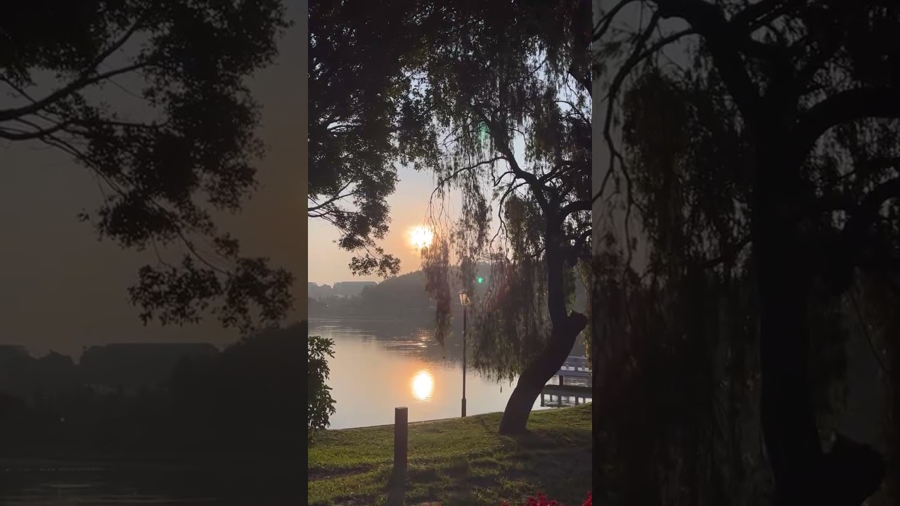 YouTube Short thumbnail