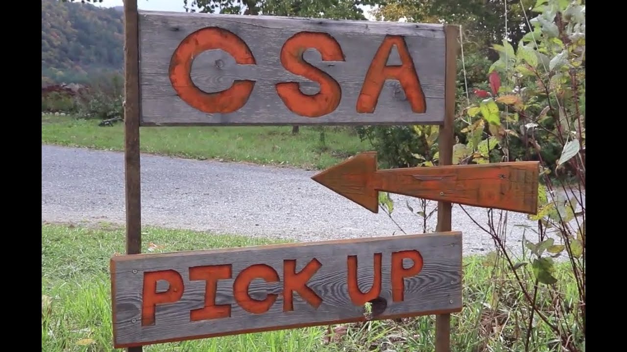 CSA Pick up Day!