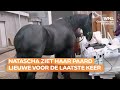 Ontroerend filmpje van Natascha (47) die voor ze sterft afscheid neemt van paard Lieuwe