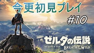 #10 久しぶりだね、リンク【ゼルダの伝説 ブレス オブ ザ ワイルド】