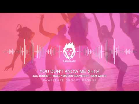 You don't know me by Jax Jones ft RAYE and +1 by Martin Solveig ft Sam White (Rawspeare Mashup)