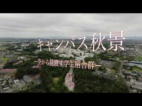 キャンパス秋景ー空から見渡す学生宿舎群ー