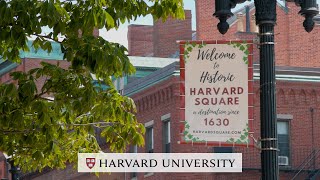 Harvard Square: A Love Story