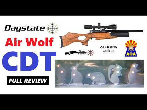 Daystate Air Wolf CDT - The Air Gun that Changed History - Full Review (Part 1)
