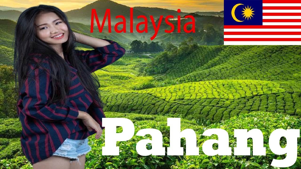 Top 10 Places to visit Pahang, Malaysia 🇲🇾