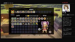姉妹でDQB2に再挑戦！＃4