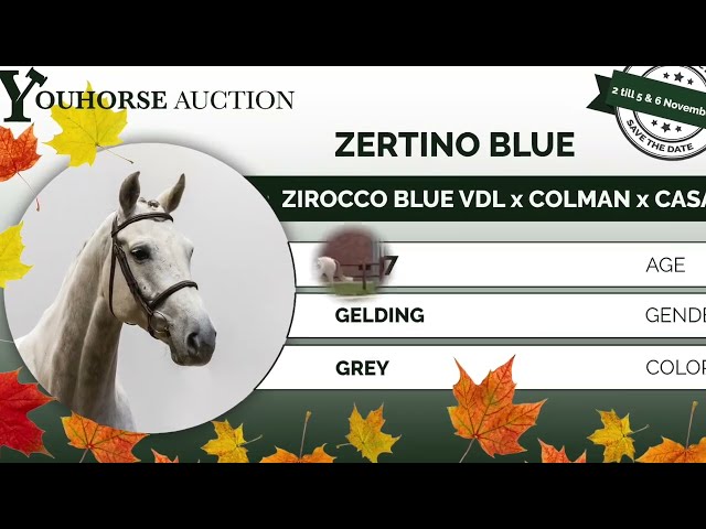Zertino Blue homevideo