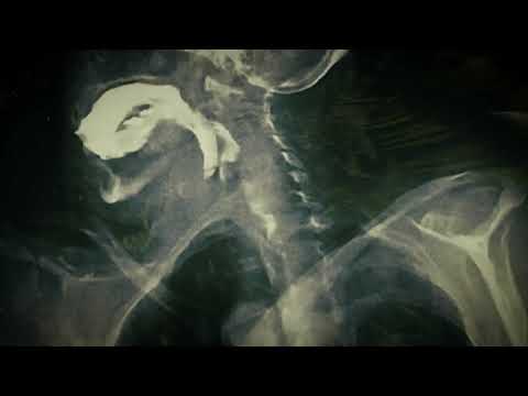 SEPHTIS - EXECRATE feat. Irish of STAB