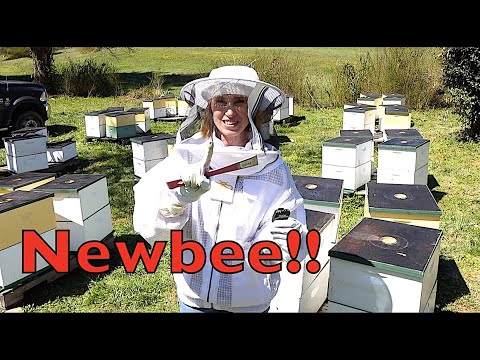 , title : 'Beekeeping Tips For Beginners'