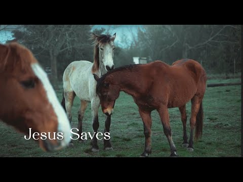 340 SDA Hymn - Jesus Saves (Singing w/ Lyrics)