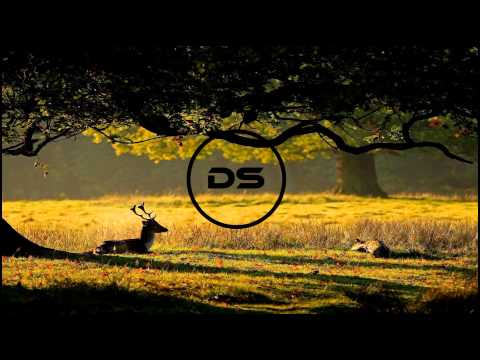 Booka Shade feat. Fritz Kalkbrenner - Crossing Borders (Pleasurekraft Remix)