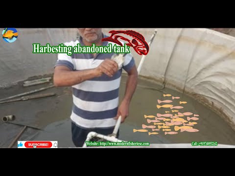Harvesting from Abandoned Tarpaulin Tank