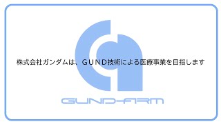 [水星]  鋼彈公司PV GUND-ARM