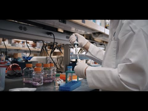 15th Anniversary of the Stem Cell Program at Boston Children's Hospital