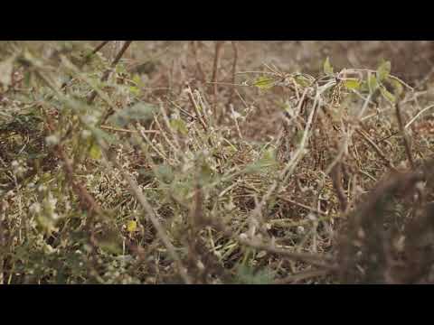 Jerrÿ Jay, Daniel Saw & LEONIUM - Falling Apart