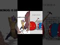 I BUILD ️ Countryhumans