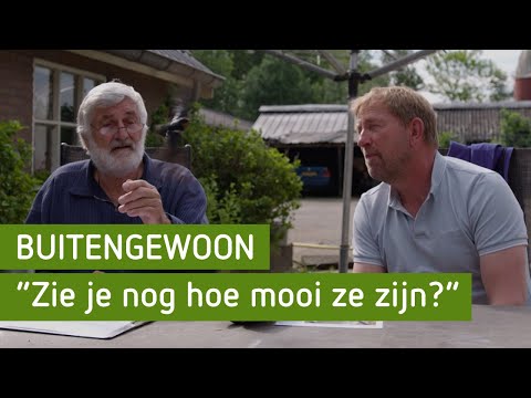 De natuur op de Noord Veluwe | BuitenGewoon