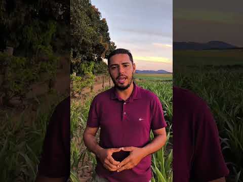 Golpe em Campinaçu Go