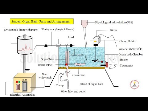 organ pharmacology bioassay animation lever