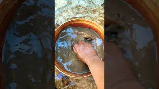 Download lagu silent #shorts #feedshorts #subscribe mp3 Download lagu silent #shorts #feedshorts #subscribe mp3