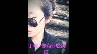 丁噹   你為什麼說謊 Cover