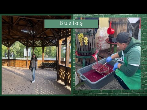 Paprika, Wine and Brandy Festival 🍲Buzias 🌳A walk through the Dendrological Park🚶🏻‍♀️Oct.2025