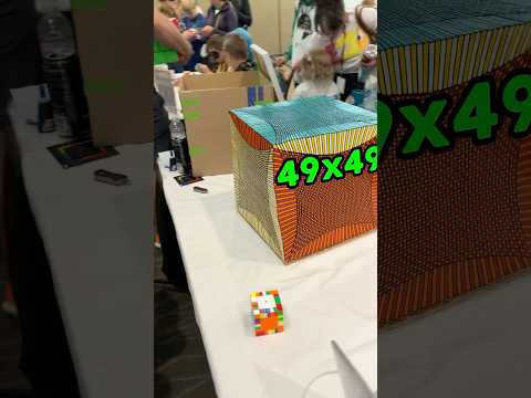 How much does a 49x49 Cost?💰