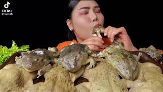 Download lagu ASMR MAKAN KODOK TERGOKIL mp3