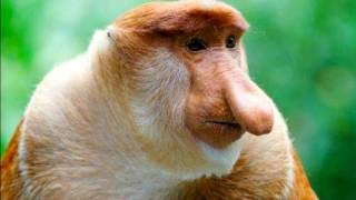 Cover art for S C R E A M