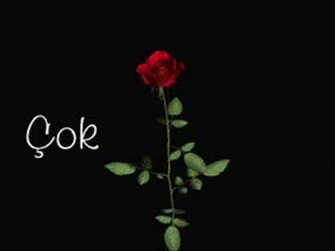 taylan yilmaz www.sahinradyo.de.vu