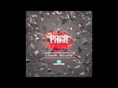 Painn - Consciousness Revolution