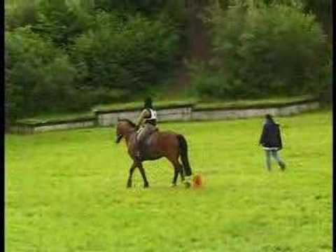 KLP Stammheim 2006 II KLP Parcours