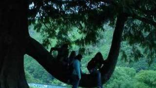 Some People ( Leann Rhymes)